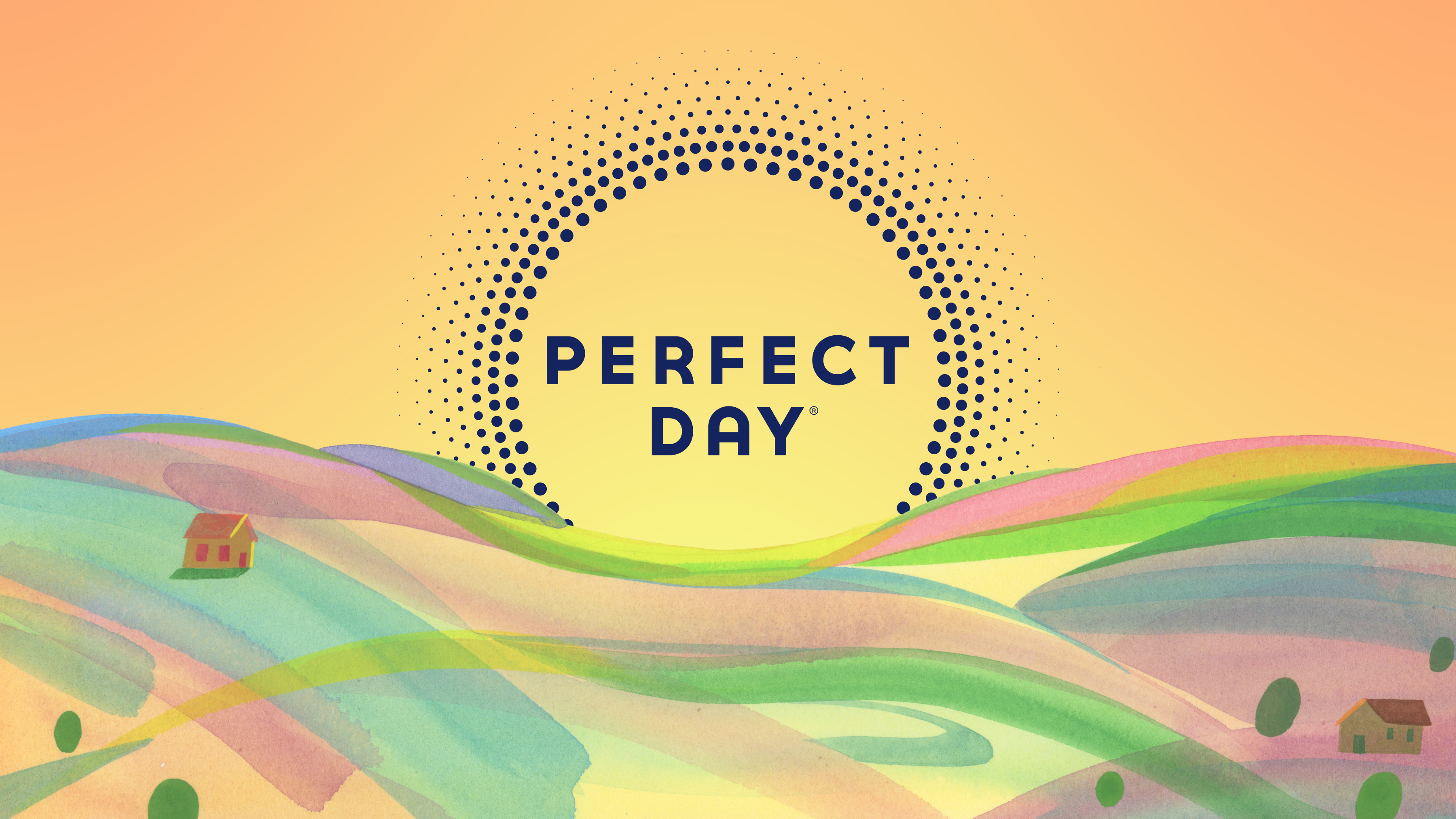 Various elements from our work showcasing Perfect Day's new brand