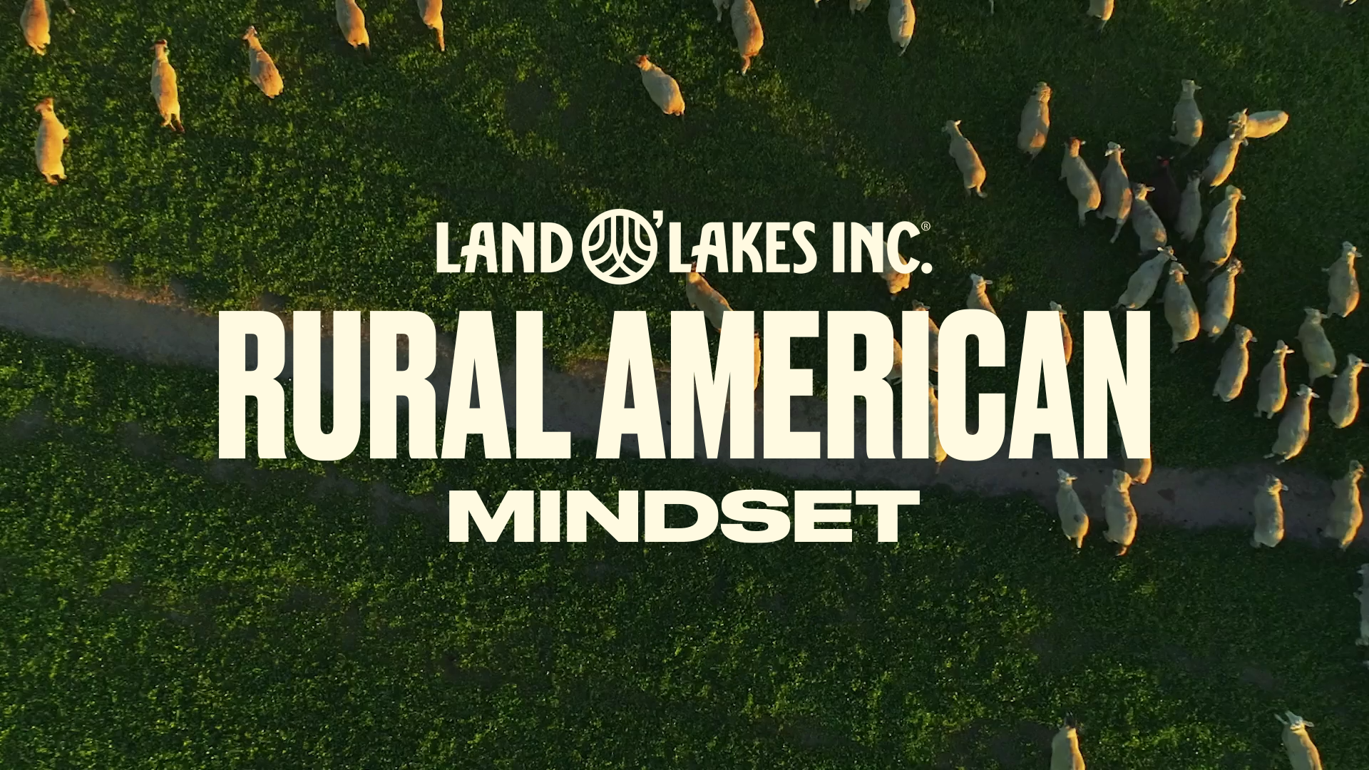 Various clips and images of our work for the Land O'Lakes Rural American Mindset research report