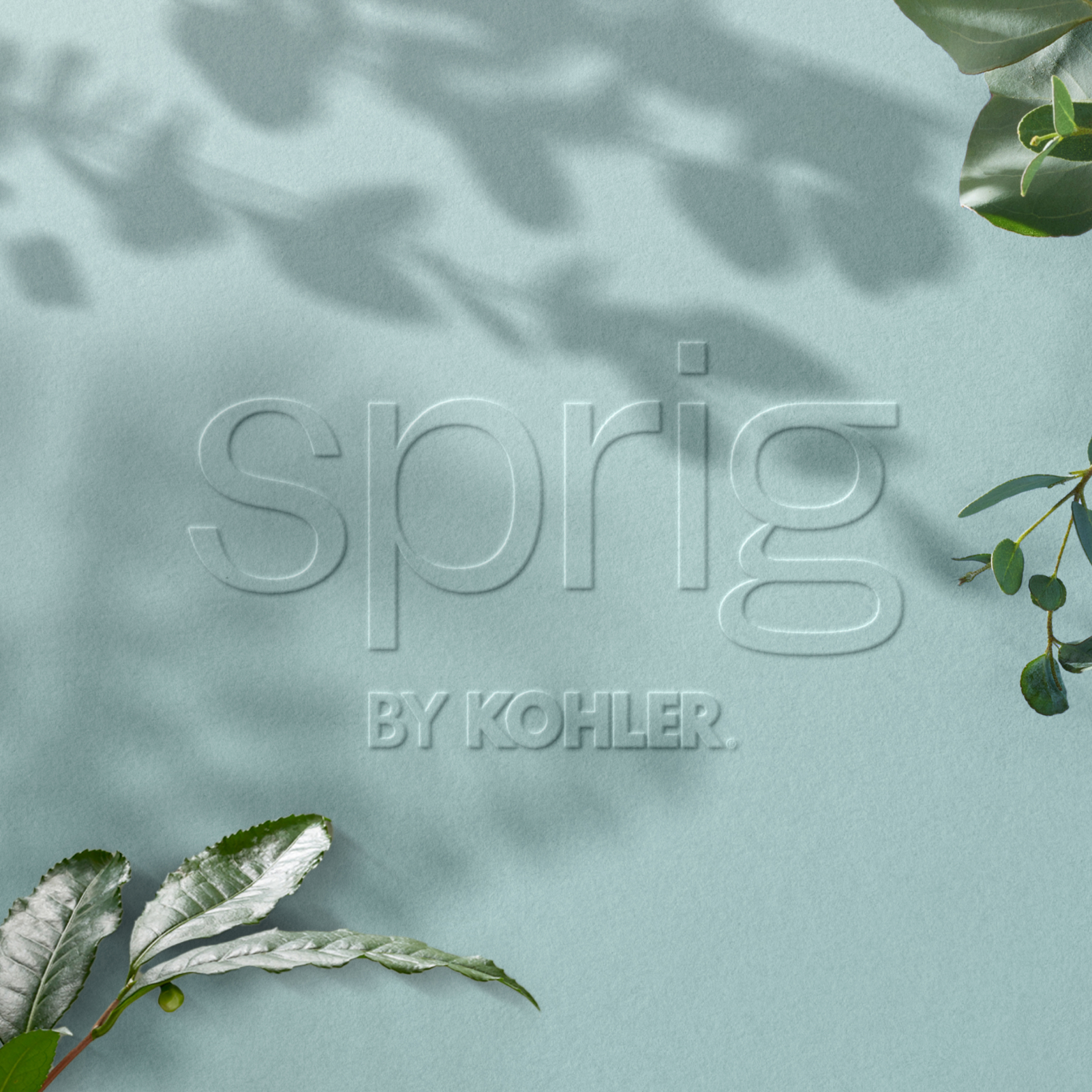 Sprig logo embossed on a pale blue-green background and surrounded by green leaves.